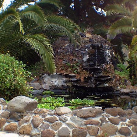 Jardin De Aridane Ξενοδοχείο El Paso Εξωτερικό φωτογραφία