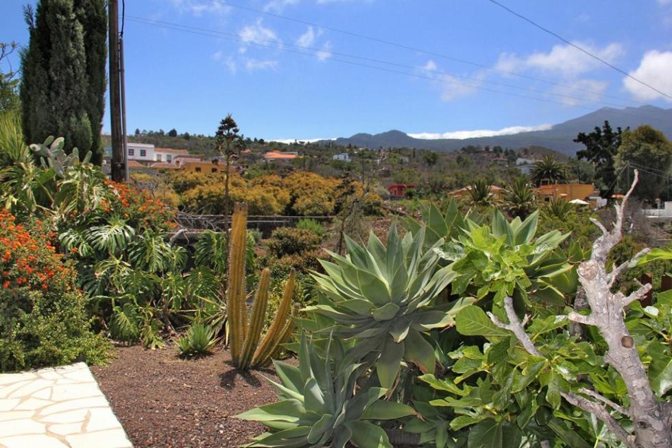 Jardin De Aridane Ξενοδοχείο El Paso Εξωτερικό φωτογραφία