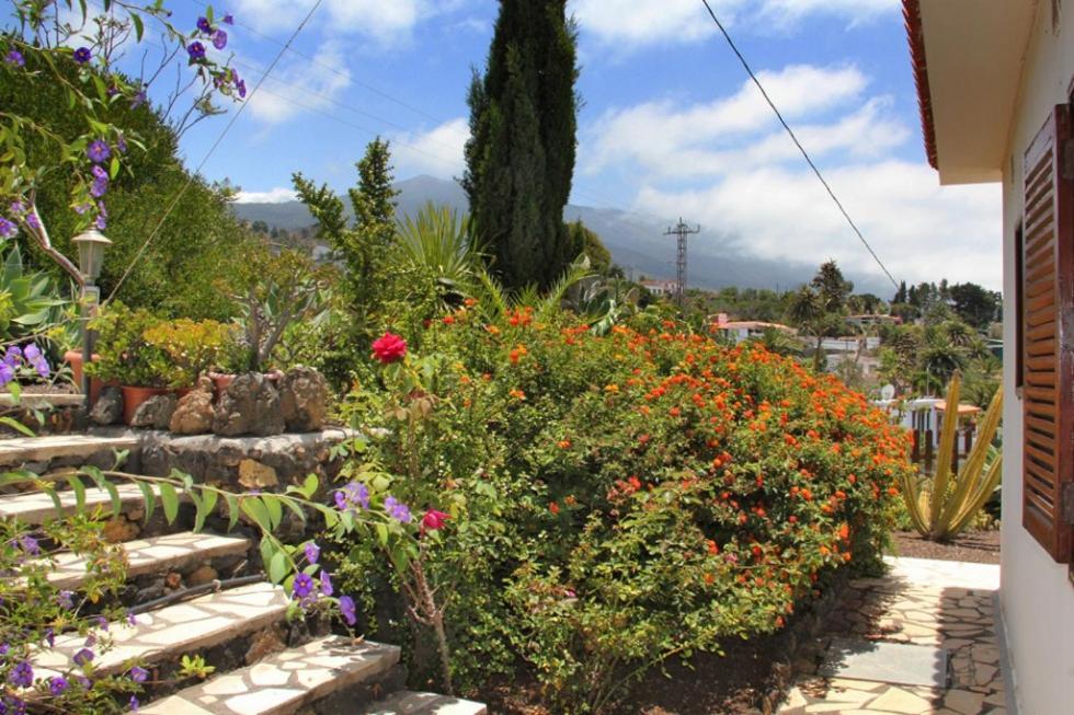 Jardin De Aridane Ξενοδοχείο El Paso Εξωτερικό φωτογραφία